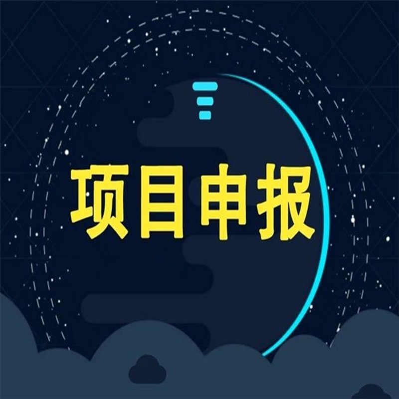 项目申报咨询：开启企业成长的新篇章
